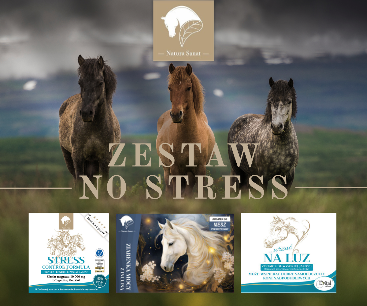 Zestaw NO STRESS dla konia